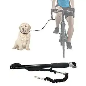 Fahrrad-Leinenhalter iFCOW für freihändiges Radfahren mit Hund