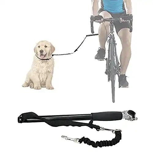 Fahrrad-Leinenhalter iFCOW für freihändiges Radfahren mit Hund