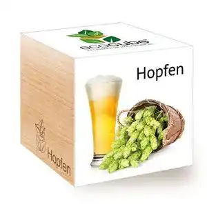 Hopfen-Samen Feel Green Ecocube 296343 für die eigene Anzucht