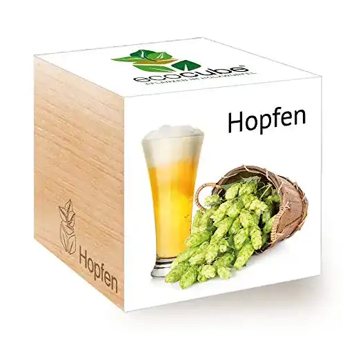 Hopfen-Samen Feel Green Ecocube 296343 für die eigene Anzucht