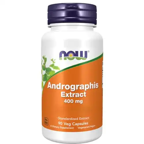 Andrographis Extrakt 400 mg von NOW Foods, 90 vegane Kapseln