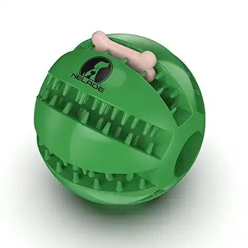 Kauspielzeug für Hunde – Zahnpflegeball aus Naturkautschuk