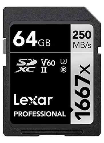 Lexar Professional 1667x SDXC 64 GB Speicherkarte
