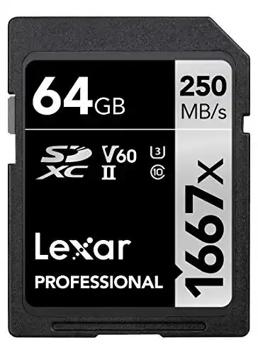 Lexar Professional 1667x SDXC 64 GB Speicherkarte