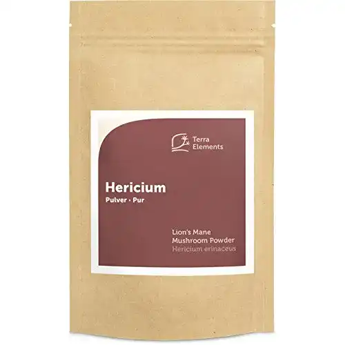 Hericium Terra Elements Bio Pulver 100 g – Igel-Stachelbart