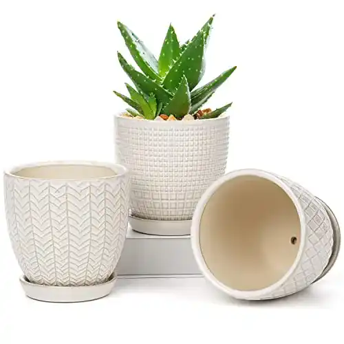 Sukkulenten-Schale Oairse Keramik Blumentopf Set mit 3 Töpfen