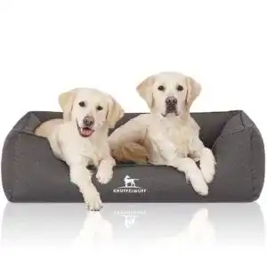 Orthopädisches Hundebett Knuffelwuff aus Velours mit abnehmbarem Bezug