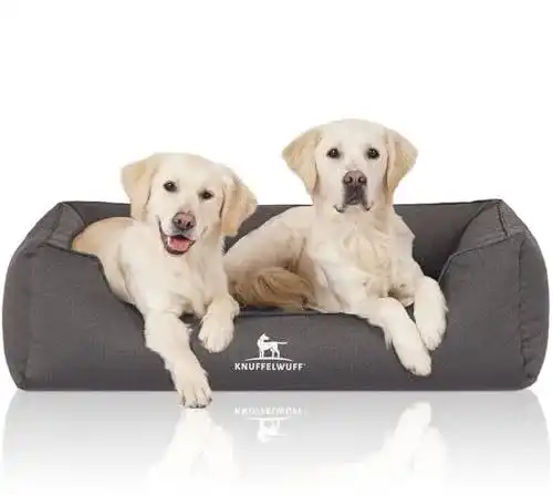 Orthopädisches Hundebett Knuffelwuff aus Velours mit abnehmbarem Bezug