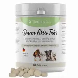 Probiotika für Katzen und Hunde – Exvital TierPlus Darm Aktiv Tabletten
