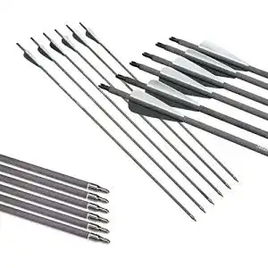 Carbonpfeile DD&Qarchery Tongtu für traditionelles Bogenschießen