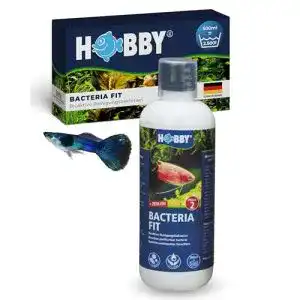 Aquarium Bakterien Hobby 51142 Bacteria Fit 500 ml