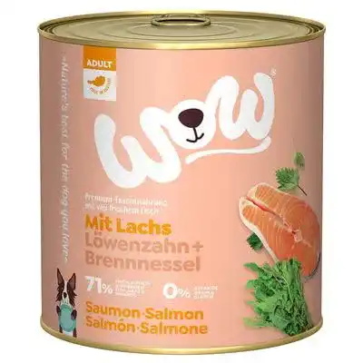 Hundefutter nass Adult mit Lachs, 6x 800g – reichhaltige Ernährung für Hunde