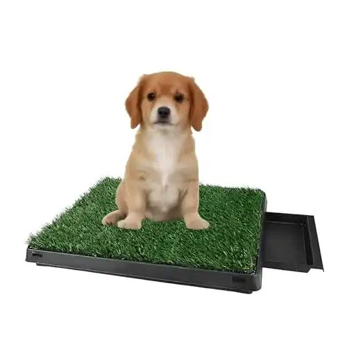 Hundetoilette ColdShine für Welpen und kleine Hunde, wiederverwendbar