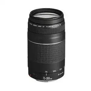 Canon EF 75-300mm F4.0-5.6 III Zoomobjektiv für vielseitige Fotografie