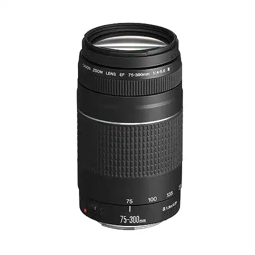 Canon EF 75-300mm F4.0-5.6 III Zoomobjektiv für vielseitige Fotografie