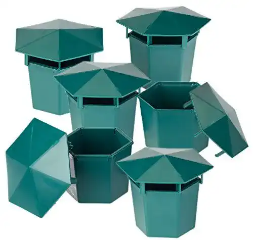 Schneckenfalle Exbuster Schneckenschutz 6er-Set Bio ohne Chemie