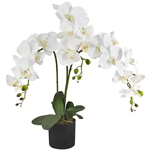 Künstliche Orchidee Decovego Kunstblume 65 cm in Weiß
