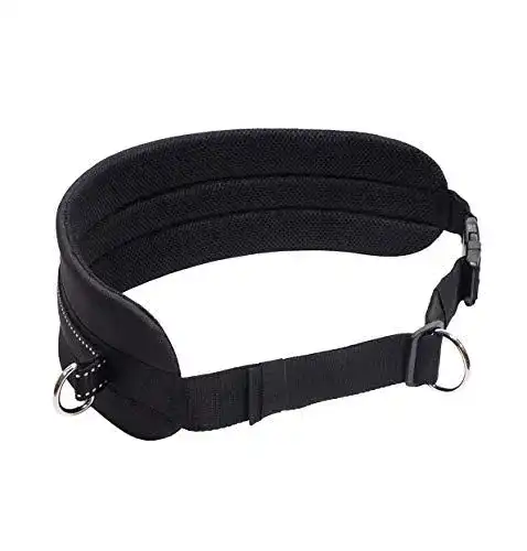 Canicross Gürtel Lasaline für Hundeleine und Hundesport