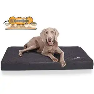 Orthopädische Hundematte Knuffelwuff für Hunde in verschiedenen Größen