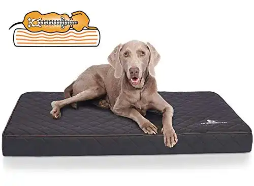 Orthopädische Hundematte Knuffelwuff für Hunde in verschiedenen Größen