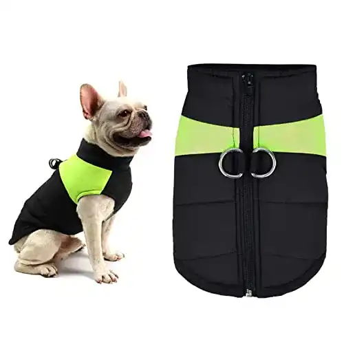 Hundemantel Youyike für Welpen in Grün, warm und fluoreszierend
