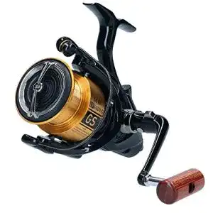 Freilaufrolle Daiwa 20 GS BR LT 3000 mit LT-Konzept