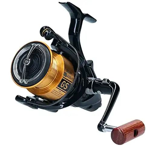 Freilaufrolle Daiwa 20 GS BR LT 3000 mit LT-Konzept