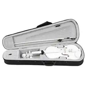 Fransande Student Violine 4/4 Full Size Set für Anfänger