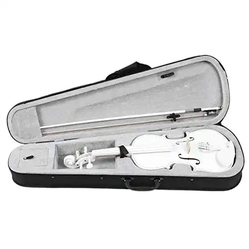 Fransande Student Violine 4/4 Full Size Set für Anfänger