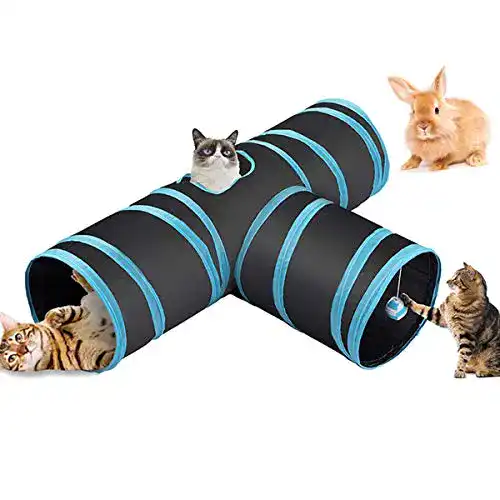 Katzentunnel Fhodigogo für Katzen und kleine Haustiere