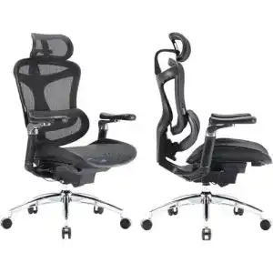 Sihoo Doro C300 Pro Ergonomischer Bürostuhl mit 6D-Armlehnen und Lordosenstütze