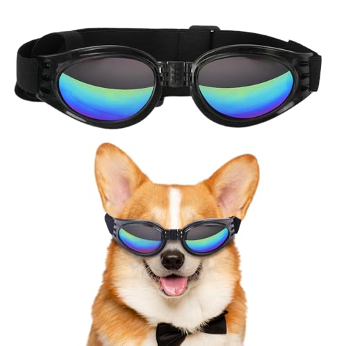 Hundebrille Jiayaus für kleine und mittelgroße Hunde