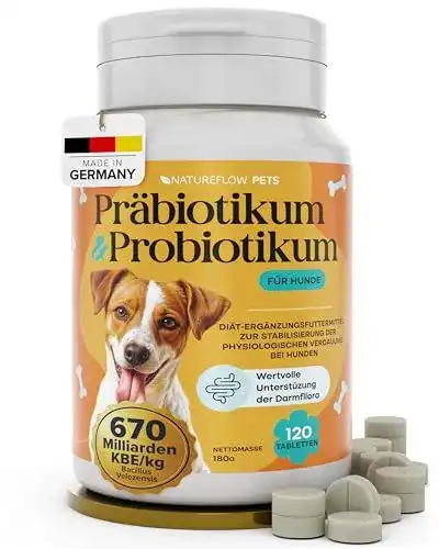 Darmsanierung für Hunde mit Probiotika von Natureflow