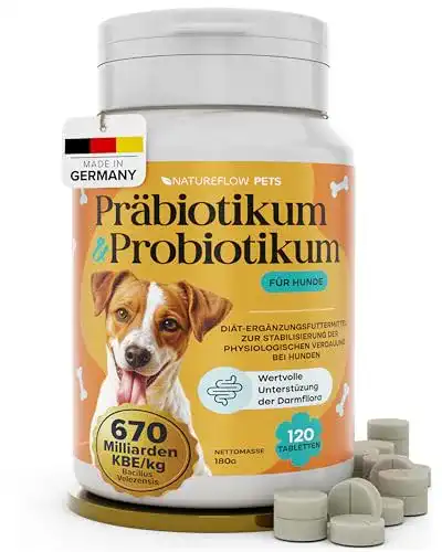 Darmsanierung für Hunde mit Probiotika von Natureflow
