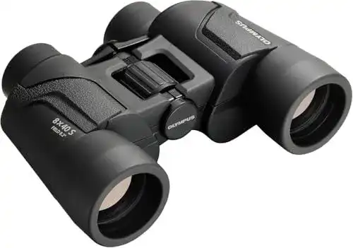 Olympus Fernglas 8×40 S mit Trageriemen und Tasche