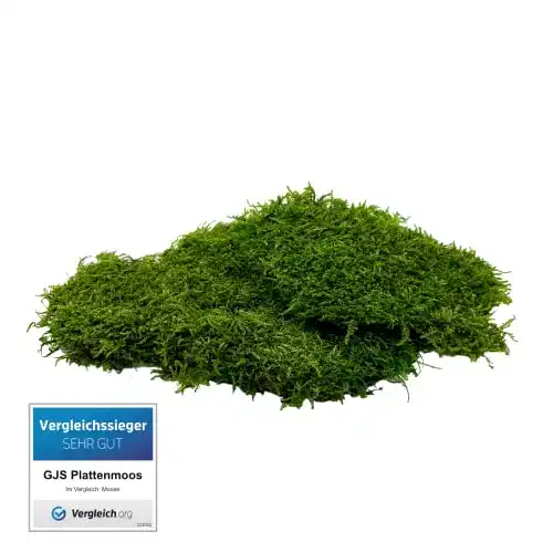 Moos GJS Platten – Konservierte Moosplatten in 100g, 200g und 500g