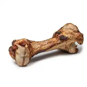 Kauknochen für Hunde Dibo Mamut-Knochen 30 cm