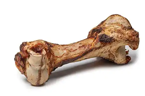Kauknochen für Hunde Dibo Mamut-Knochen 30 cm