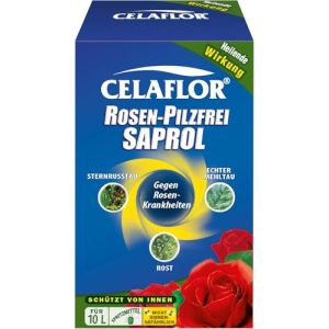 Rosen-Pilzfrei Substral Celaflor Saprol 100 ml Konzentrat gegen Pilzkrankheiten