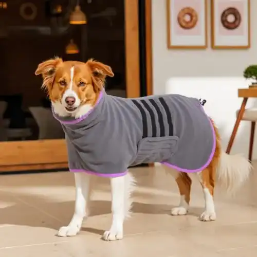 Hundebademantel HezzLuv aus Mikrofaser für Hunde