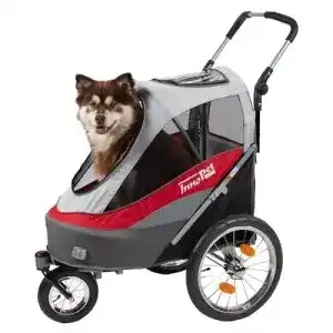 Hundebuggy Innopet Sporty Trailer für große Haustiere