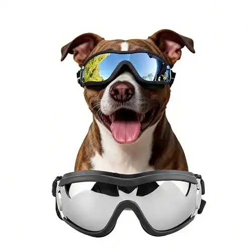 Sonnenbrille für Hunde von Petleso – Schutzbrille für große Hunde