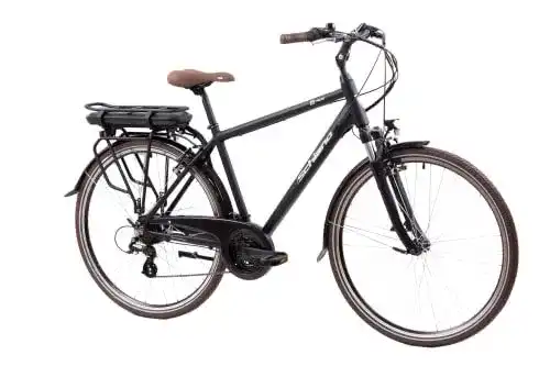 E-Bike unter 1.000 Euro – F.lli Schiano E-Ride 28 Zoll, City und Trekking