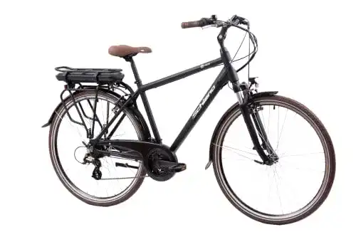 E-Bike unter 1.000 Euro – F.lli Schiano E-Ride 28 Zoll, City und Trekking