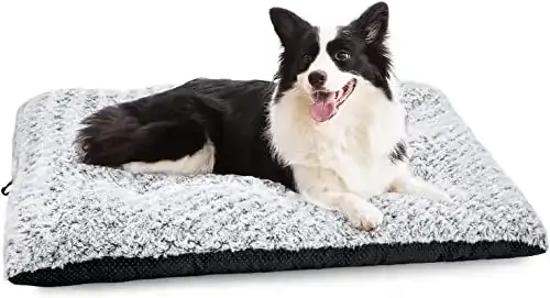 Hundekissen von JoeJoy für mittelgroße Hunde, waschbar und pflegeleicht