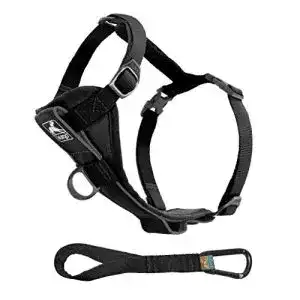 Hundegeschirr für das Auto Kurgo Tru-Fit Smart, Größe M, Schwarz