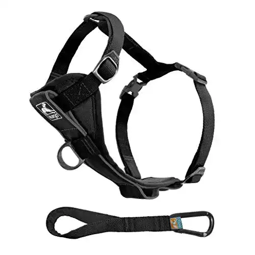 Hundegeschirr für das Auto Kurgo Tru-Fit Smart, Größe M, Schwarz