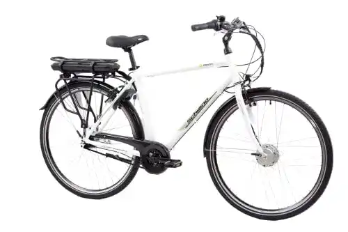 Fahrrad mit Nabenschaltung F.lli Schiano E-Moon E-Bike