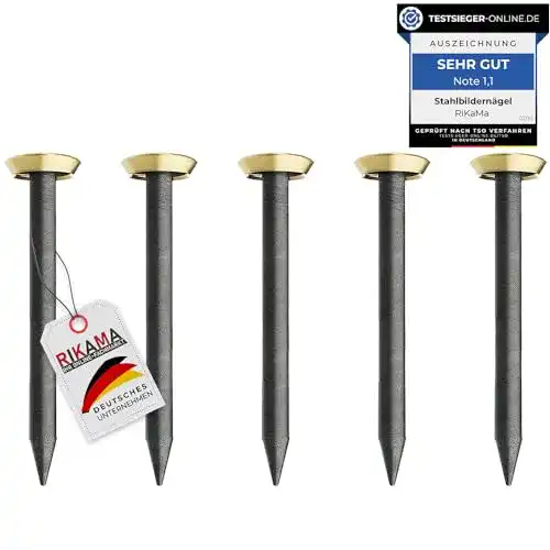 Bildernägel Rikama 30 Stück 25 mm Stahlnägel für verschiedene Untergründe