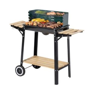 Jamestown-Holzkohlegrill modern